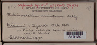 Image Associated With the Occurence